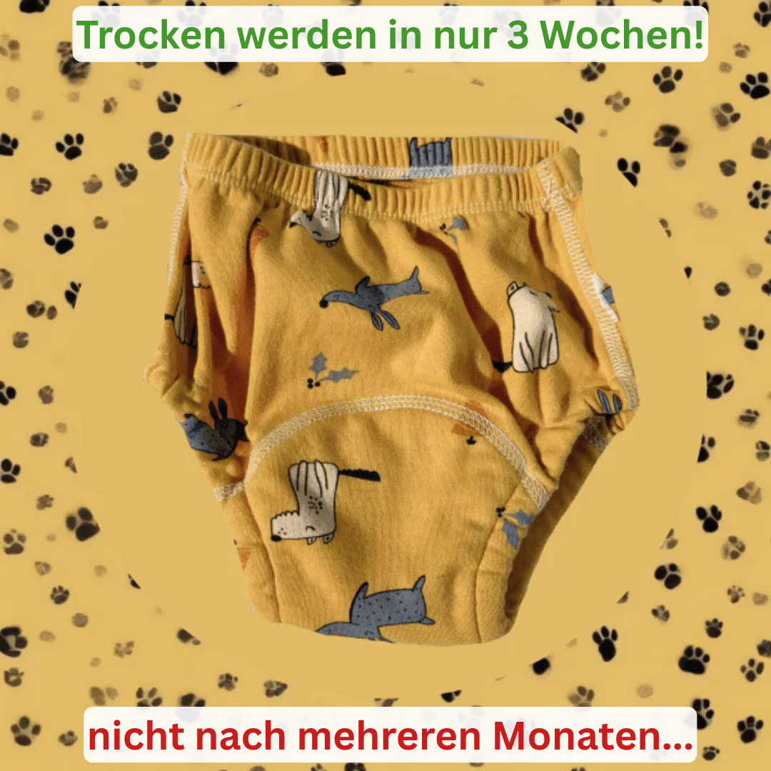 Amariel Trainingshöschen